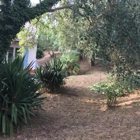 Comfortable And House With A Beautiful Garden * La Tranche-sur-Mer